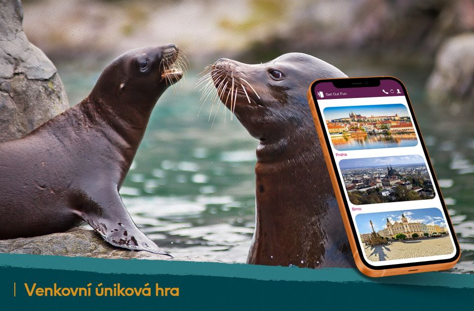 Záchrana lachtanů v Zoo Lešná - venkovní úniková hra