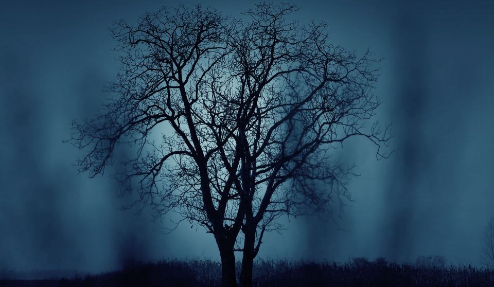 Lovci duchů: Duch lesa v tajemném Klánovickém lese