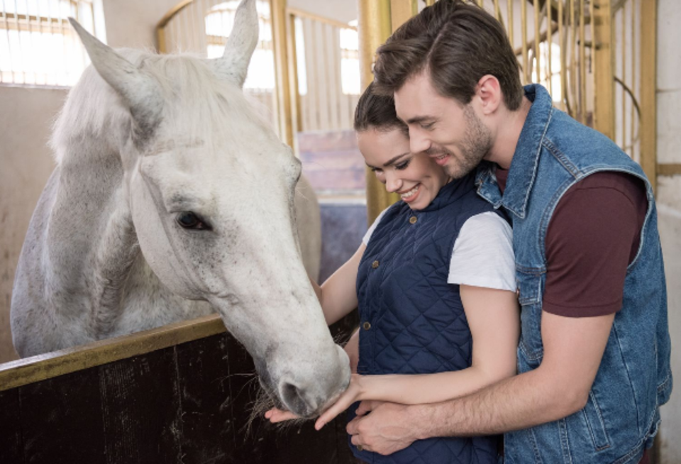 Zážitkový pobyt plný romantiky na koňské farmě Vysoká