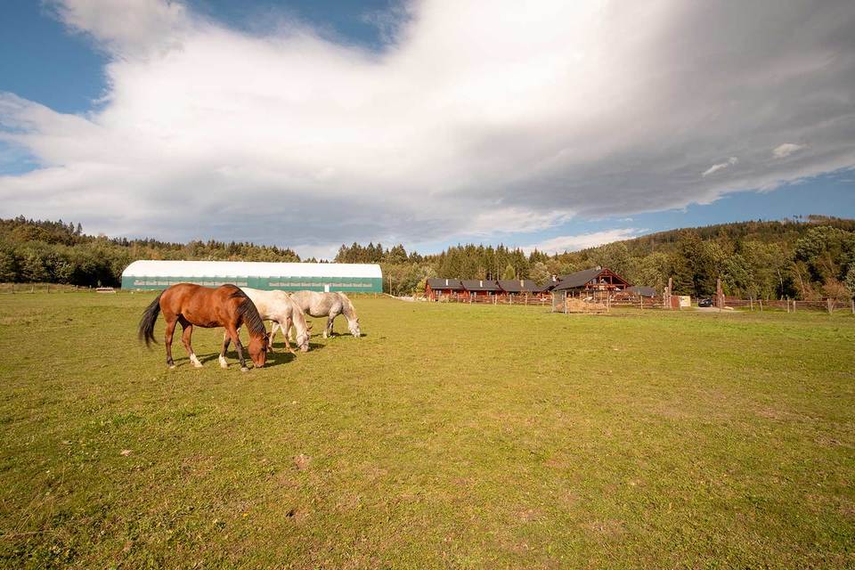 Relax na ranči v Jeseníkách: 3 noci se snídaní včetně projížďky na koních