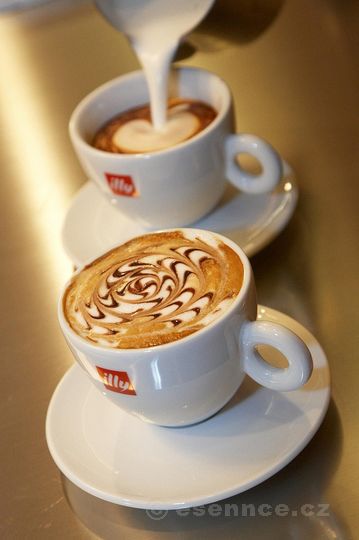 Universita del Caffe - Kurz kávy