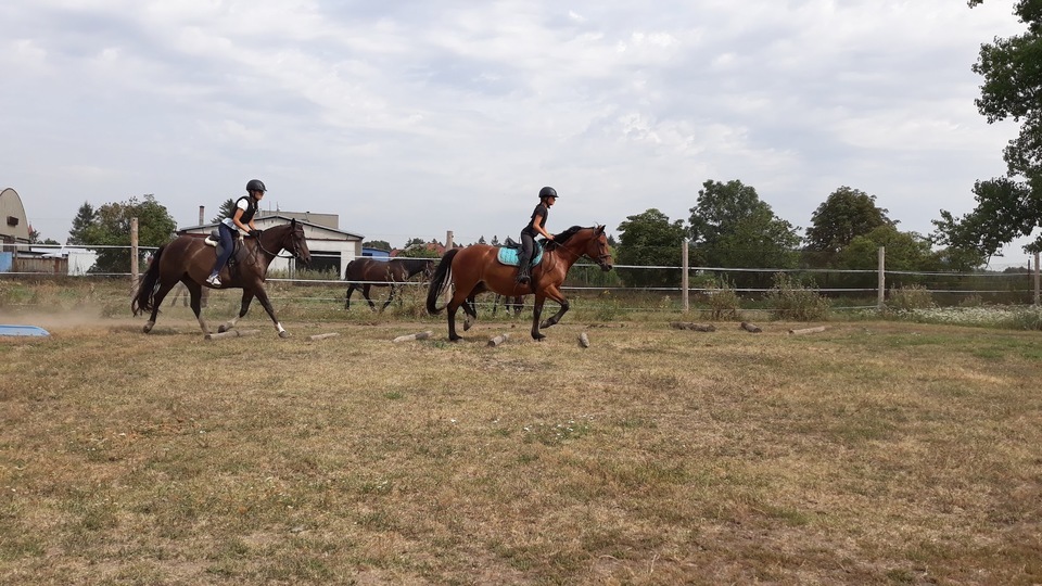 Intenzivní individuální kurz zacházení s koněm a prvních kroků v sedle pro začátečníky