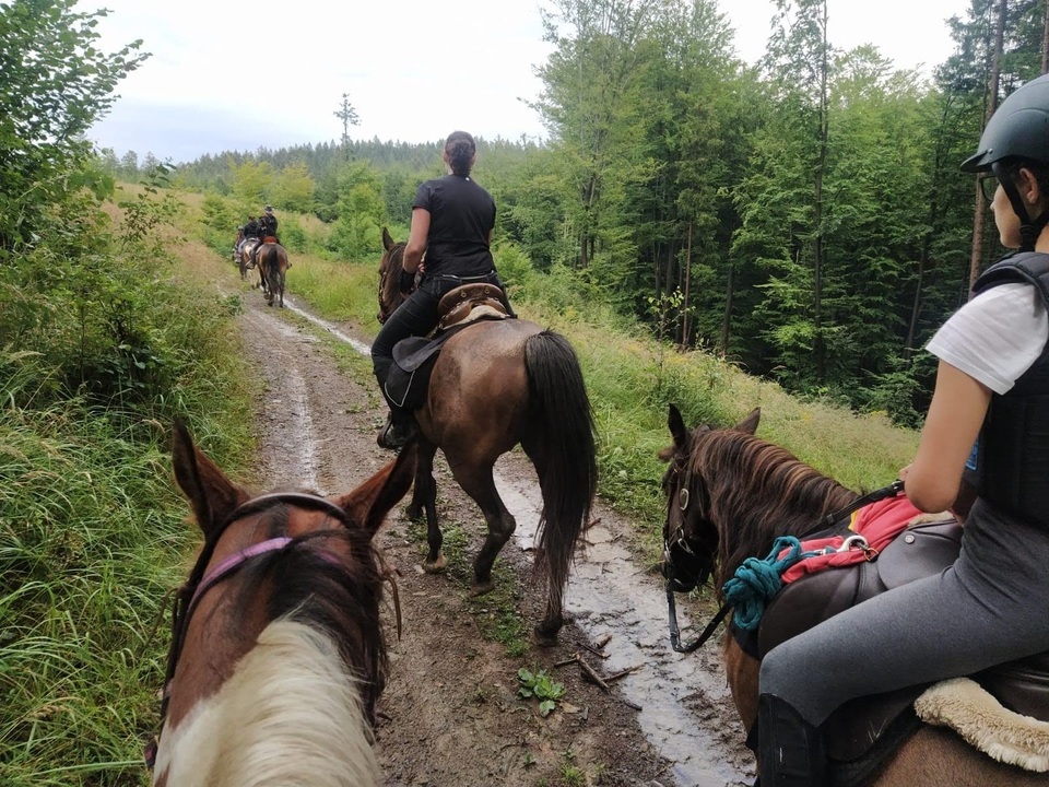 Skupinová celodenní vyjížďka do přírody na koni