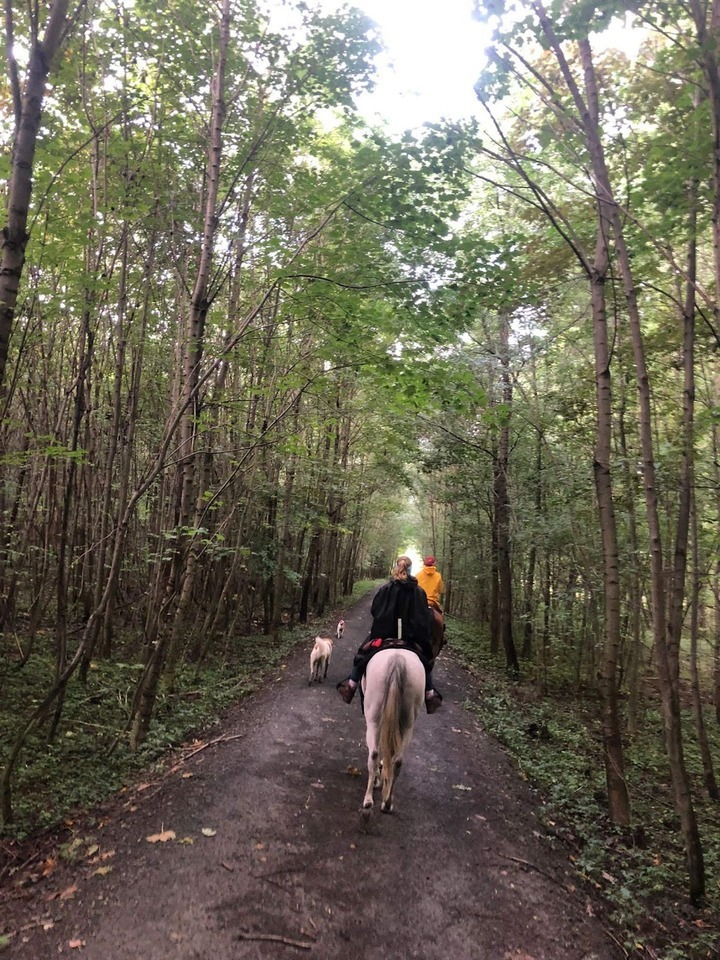 Skupinová celodenní vyjížďka do přírody na koni