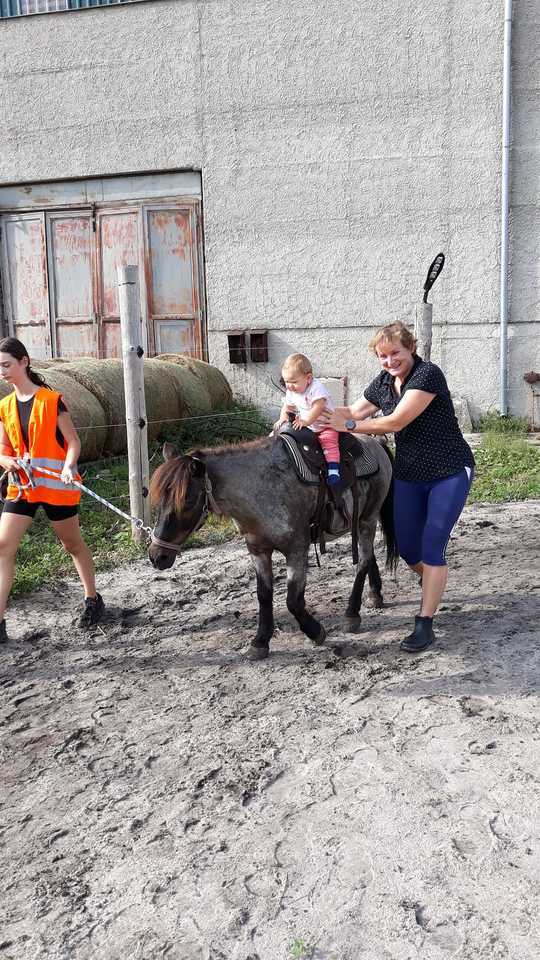 Návštěva Zvířátkova s projížďkou na koni, krmením nebo procházkou pro rodinu