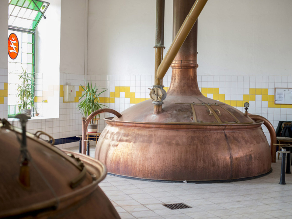 Pivní výlet s prohlídkou Žateckého pivovaru, degustací piv a návštěvou muzea pivovarnictví a vodárenské věže