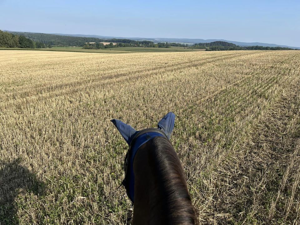 Farmářem na zkoušku s ubytováním, jízdou na koni, venčením lam a wellness