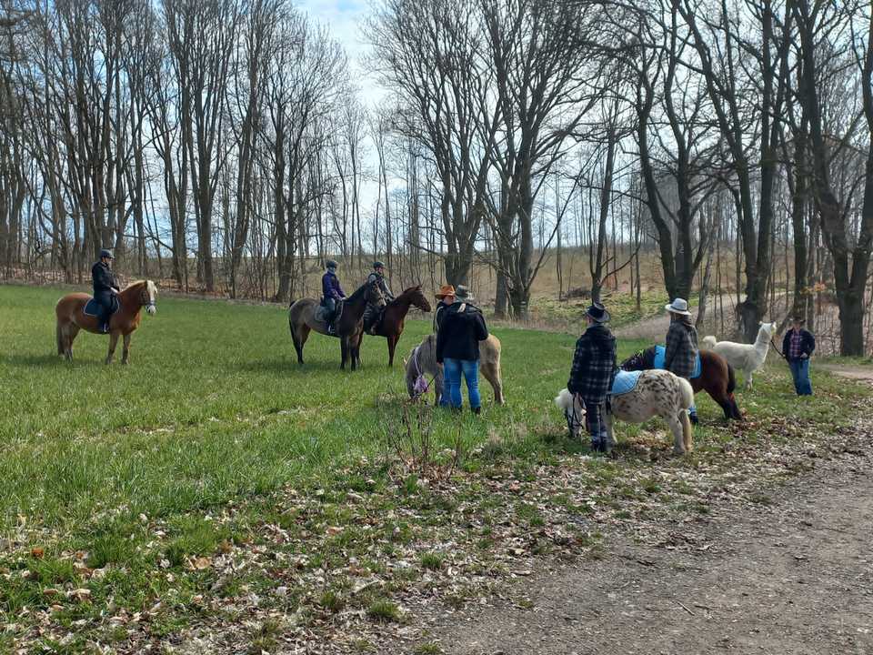 Farmářem na zkoušku s ubytováním, jízdou na koni, venčením lam a wellness