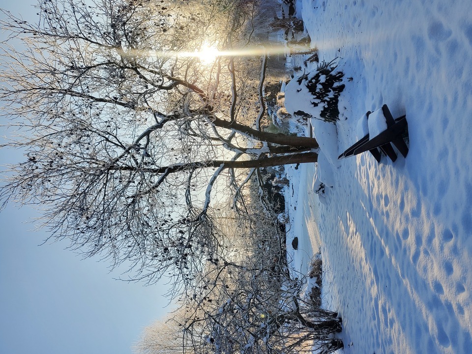 Skvělý glampingový pobyt v útulné dřevěné chatce s privátní sudovou saunou pro 2 osoby na 2 noci