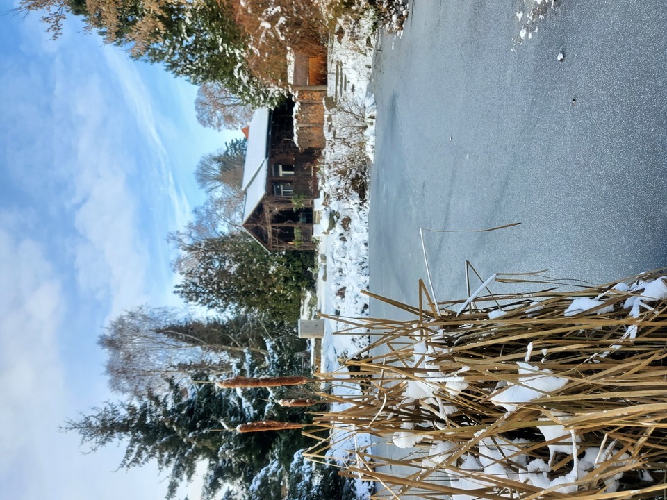 Skvělý glampingový pobyt v útulné dřevěné chatce s privátní sudovou saunou pro 2 osoby na 2 noci