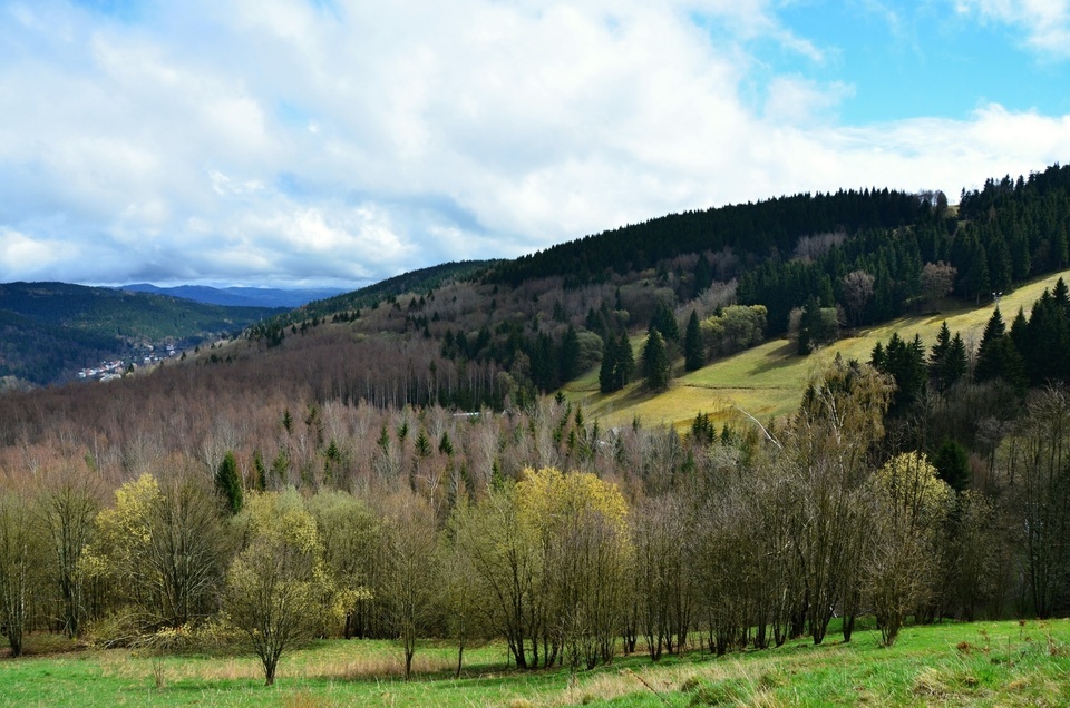 Restaurace Rendlík