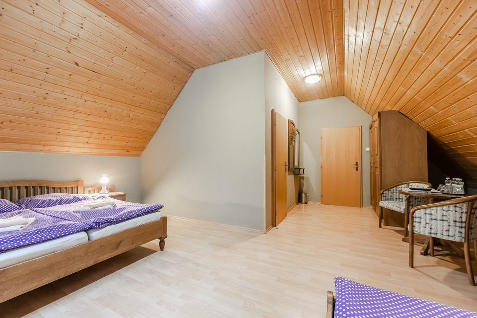Wellness pobyt pro 3 osoby s polopenzí v srdci Jizerských hor