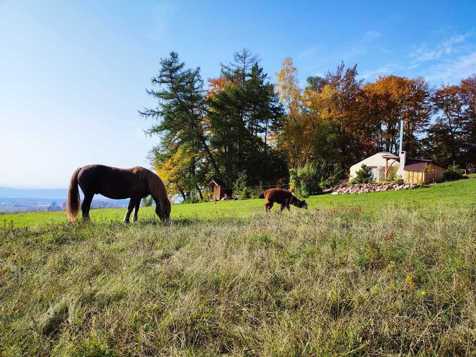 Úžasný glamping v jurtě na samotě uprostřed nádherné podkrkonošské přírody pro 2 osoby