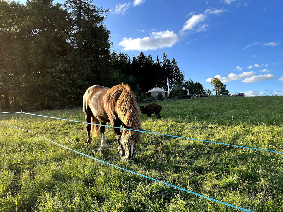 Úžasný glamping v jurtě na samotě uprostřed nádherné podkrkonošské přírody pro 2 osoby