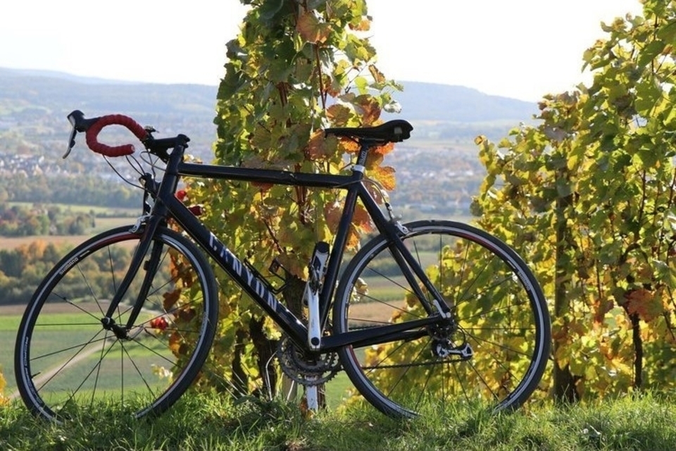 Vinařská cyklistická úniková hra krajinou Modrých Hor na jižní Moravě