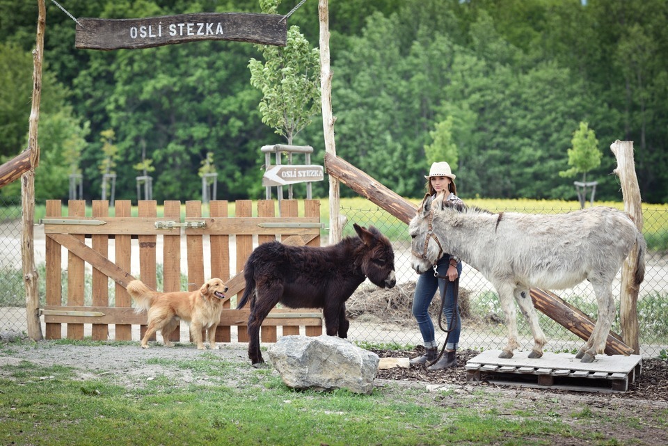 Den farmářem na zkoušku na oslí farmě v Českém ráji