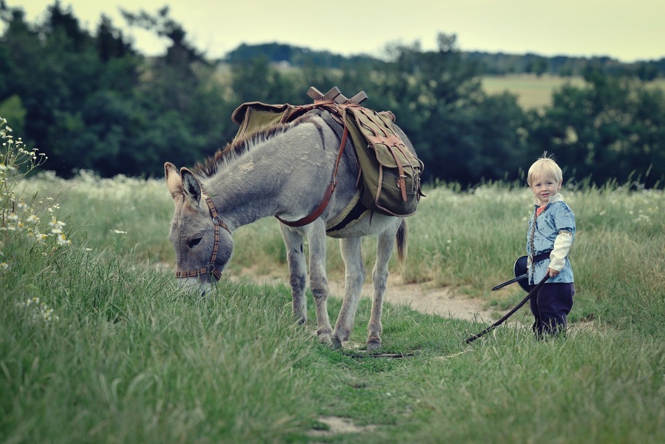 Den farmářem na zkoušku na oslí farmě v Českém ráji