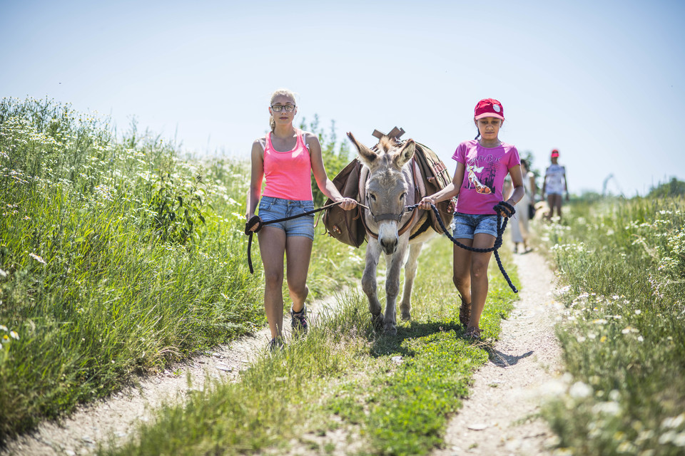 Den farmářem na zkoušku na oslí farmě v Českém ráji