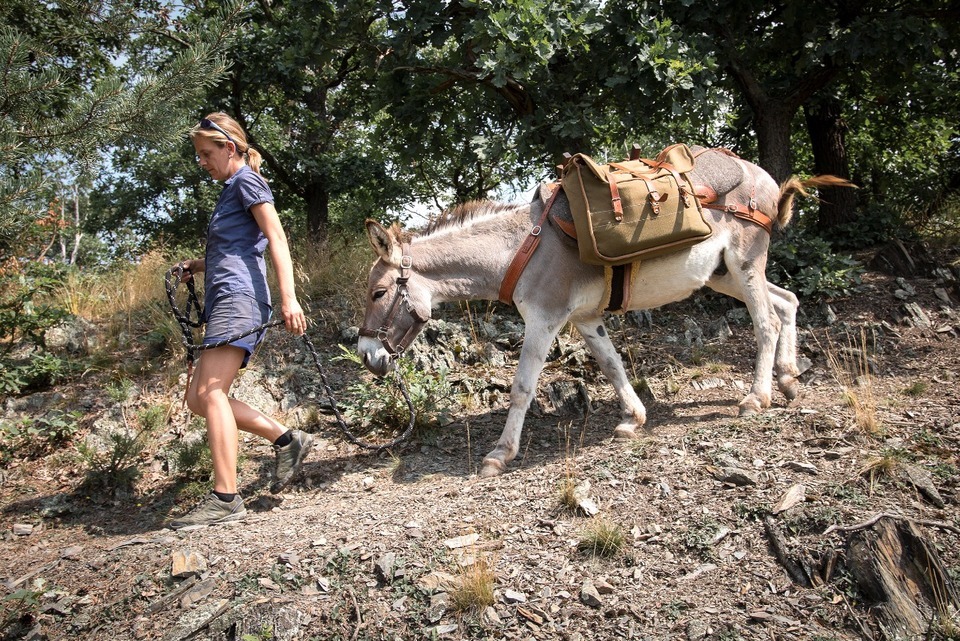 Půldenní výlet se dvěma oslíky, piknikem a svezením až pro 7 osob
