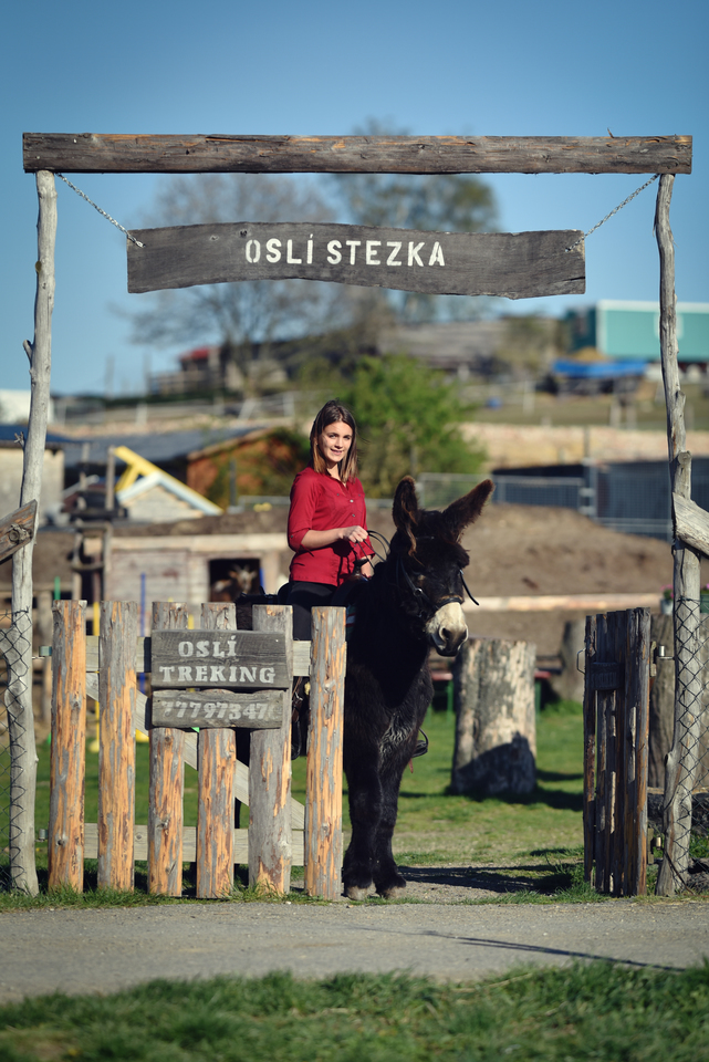 Půldenní výlet se dvěma oslíky, piknikem a svezením až pro 7 osob