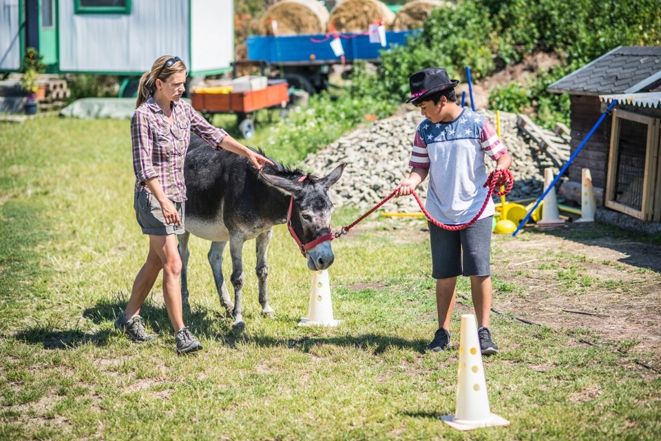Rodinný pobyt na farmě v Českém ráji