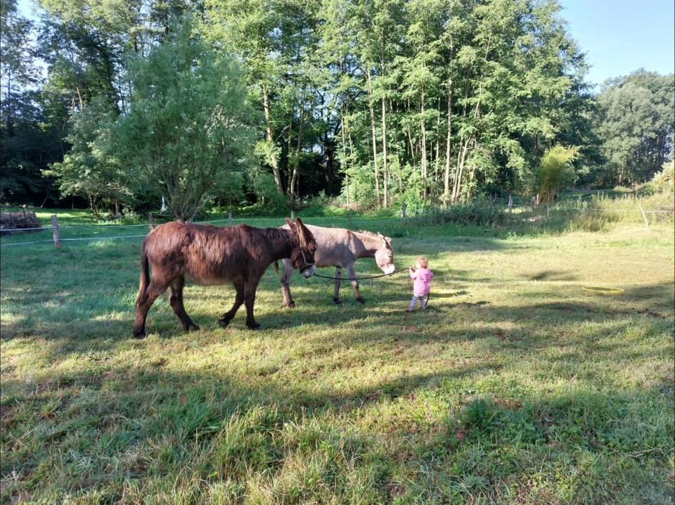 Rodinný pobyt na farmě v Českém ráji
