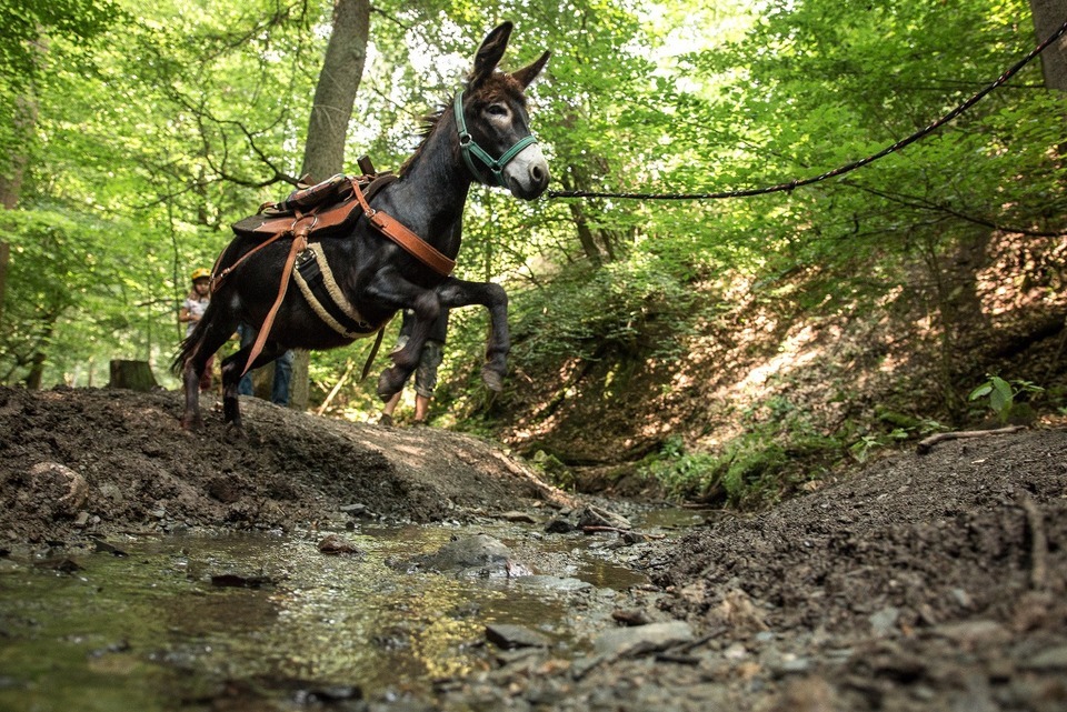 Rodinný pobyt na farmě v Českém ráji