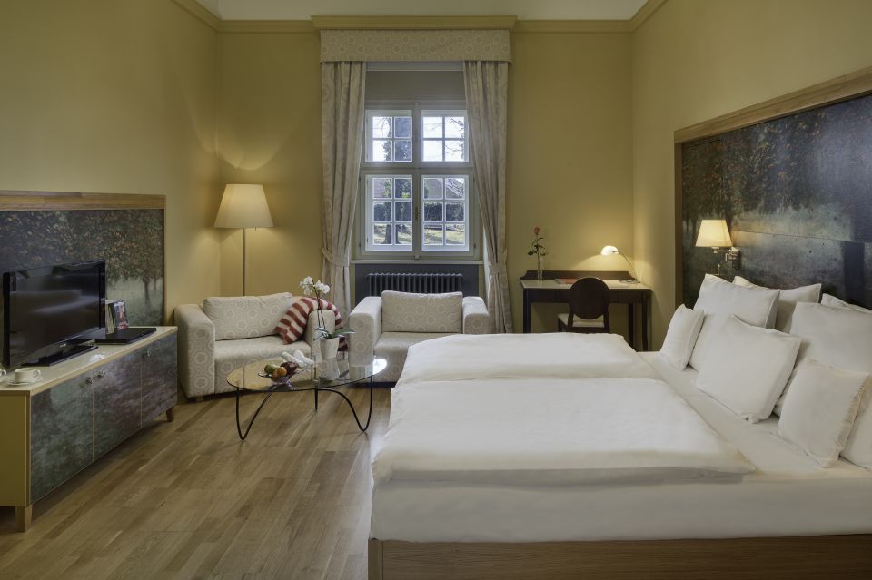 Kouzelná noc na Chateau Herálec - standard double room