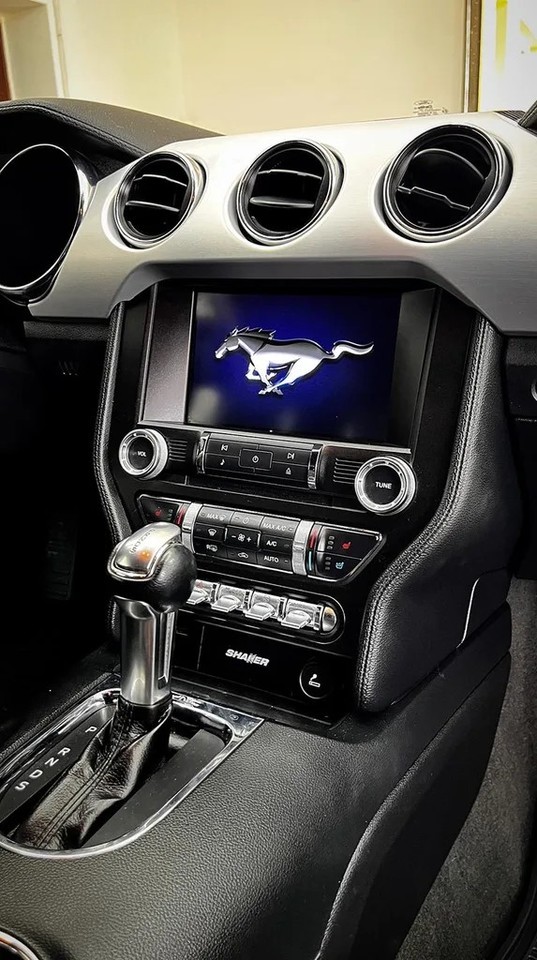 Pronájem Ford Mustang 2016 5.0 GT V8 Holice u Pardubic