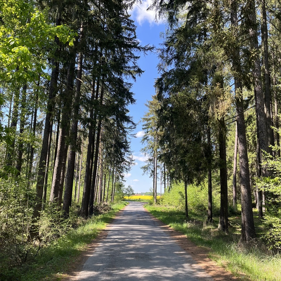Glamping v srdci jižních Čech