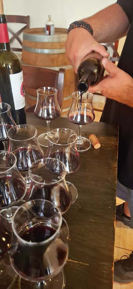 Kurz archivace a investice vína s degustací v Praze