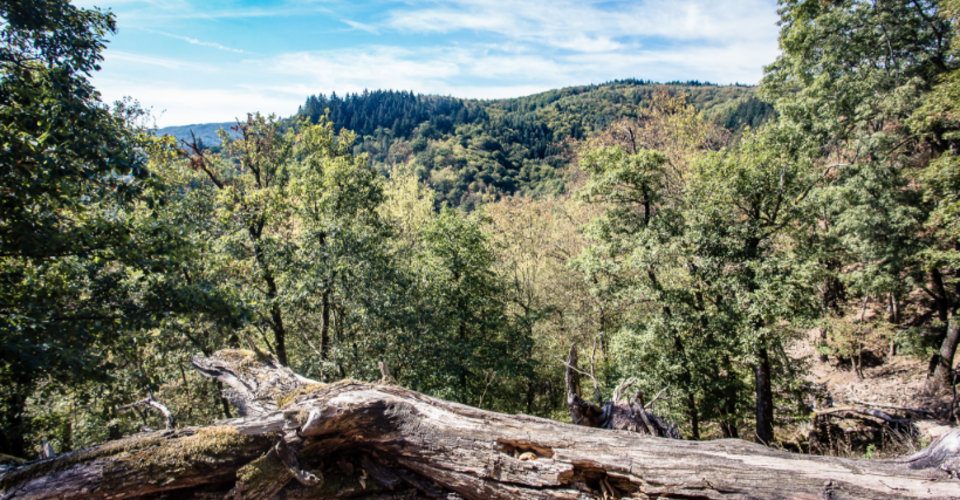 Noc na zámku Křtiny v Moravském krasu s polopenzí pro 2 osoby