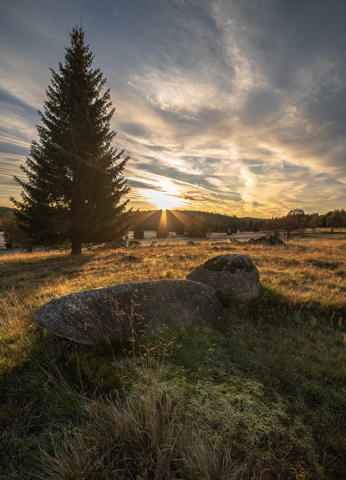 Pobyt v krásném Resortu Pasečná uprostřed šumavské přírody