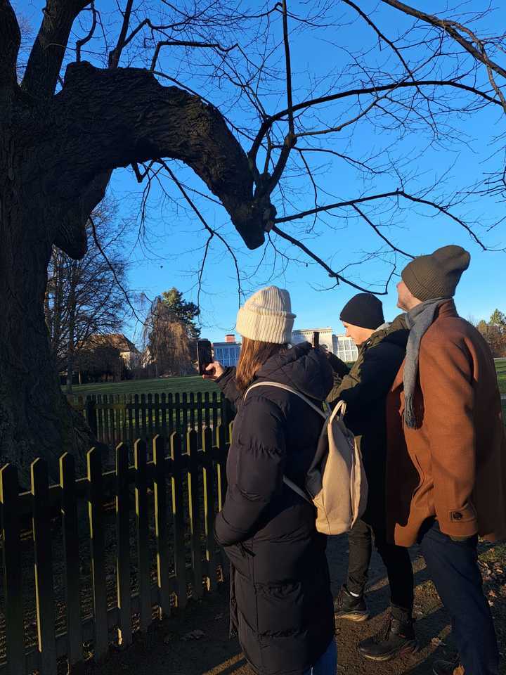 Tragédie na zámku - venkovní detektivní úniková hra v Telči