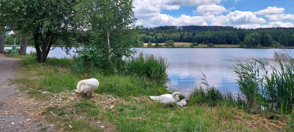 Po stopách tajného agenta - venkovní úniková hra ve Ždírci nad Doubravou