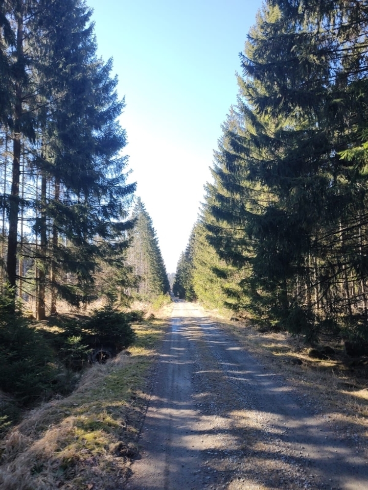 Po stopách tajného agenta - venkovní úniková hra ve Ždírci nad Doubravou