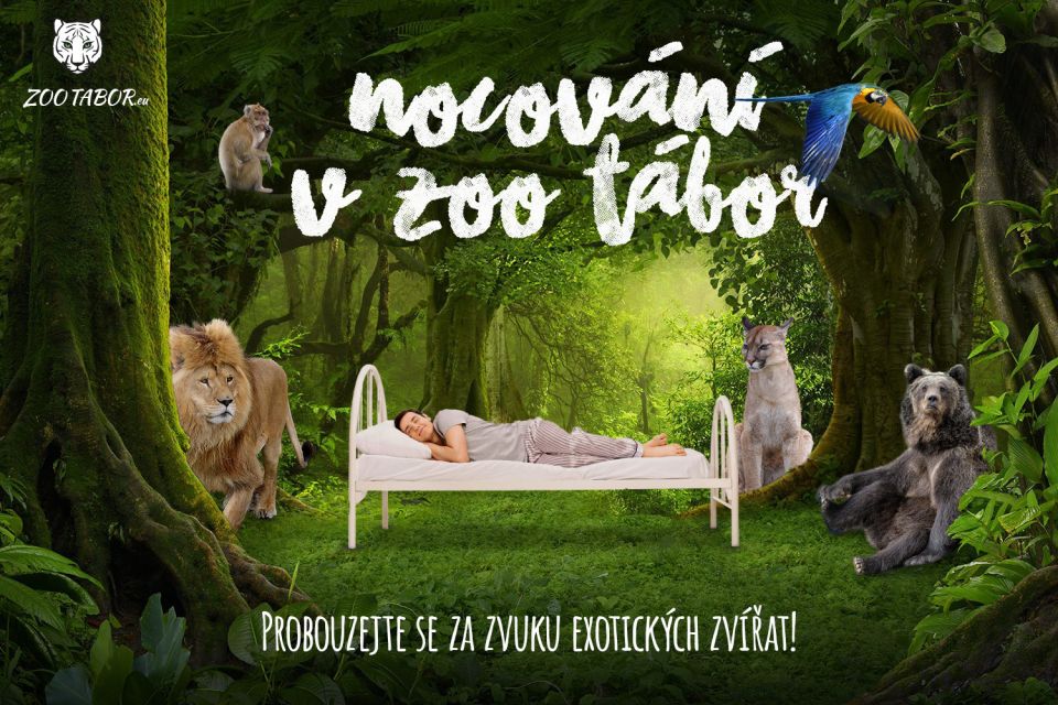 Teambuilding - Netradiční - Nocování v ZOO Tábor mezi exotickými zvířaty