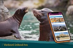Záchrana lachtanů v Zoo Lešná - venkovní úniková hra