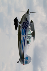 Akrobatický let Christen Eagle II
