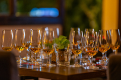 Degustace prémiových japonských whisky