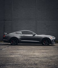 Pronájem Ford Mustang 2016