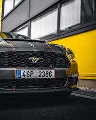 Pronájem Ford Mustang 2016