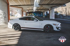 Pronájem Ford Mustang 3,7L V6 Teplice