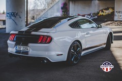 Pronájem Ford Mustang 3,7L V6 Teplice