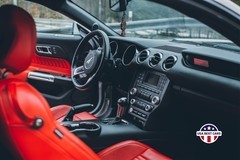 Pronájem Ford Mustang 3,7L V6 Teplice