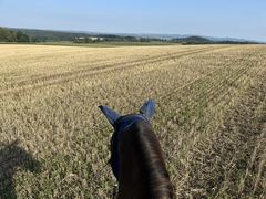 Farmářem na zkoušku s ubytováním, jízdou na koni, venčením lam a wellness