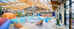 Luxusní wellness pobyt v Aquapalace Čestlice pro dva (2 dny, 1 noc)