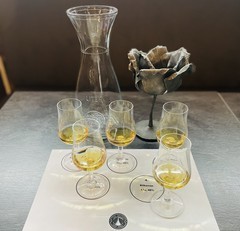 Degustace prémiových skotských sladových whisky v Brně
