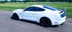 Jízda ve Ford Mustang 5.0 V8 GT Nový Bydžov