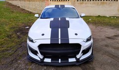 Jízda ve Ford Mustang 5.0 V8 GT Nový Bydžov